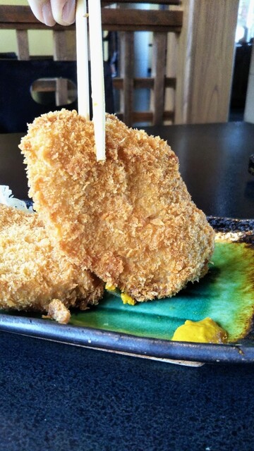 川魚・郷土旬菜 うおとし - サクサク食感のナマズフライですよ！