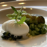 アコルドゥ - 菊菜のアロス つぶ貝とアリオリ