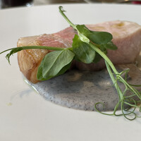 アコルドゥ - 奈良のコッシード