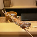 鮨駒 - ガサエビ炭焼