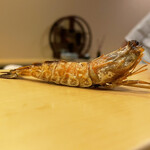 鮨駒 - ガサエビ炭焼