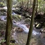 朔 - すぐ近くの川　マイナスイオンたっぷりです