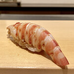 鮨 はしもと - 車海老
      茹でたては甘みがあります♪
      一口のこのサイズ感が大好きです。