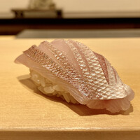 鮨 はしもと - 春子鯛昆布締め
                    身のやわらかさはまさに春子鯛らしさが感じられます♪
                    江戸前の種としては定番ですが、やはり食べたくなるのですよね風味の良さに♬