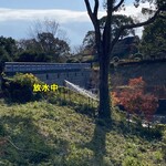 大阪たこ焼き 花月 - 濃施山公園放水中