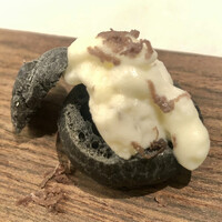 スブリム - シュー・ノワール　トリュフと共に