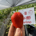 姫路ハートフル観光農園 - 