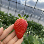 姫路ハートフル観光農園 - 