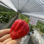 姫路ハートフル観光農園 - 