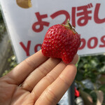 姫路ハートフル観光農園 - 