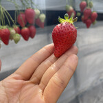 姫路ハートフル観光農園 - 