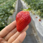 姫路ハートフル観光農園 - 