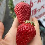 姫路ハートフル観光農園 - 