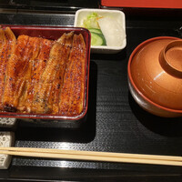 うなぎ 目白ぞろ芽 - 