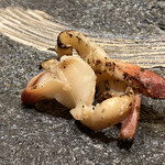 赤坂 鮨 ふくなが - 