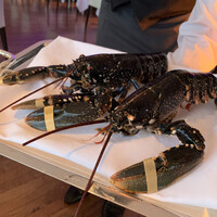 オテル・ド・ヨシノ - 