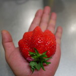 ヤオコー - 料理写真:唐沢農園やよいひめ