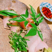 厳選焼鳥 一石三鳥 本店 - 
