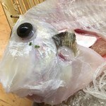 金寿司 地魚定 - 皮剥ぎ