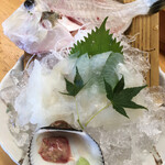 金寿司 地魚定 - 皮剥ぎの薄造り