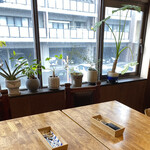 アーリー サン - 