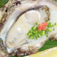 夏の岩がき（5月～8月）
