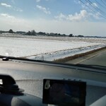 焼肉つるや - 春よ来い！