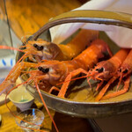 温石 - 赤座海老の顔見せ