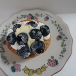 プチパレット - ブルベリー