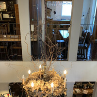 VELVET VIRGO -  VELVET VIRGO -