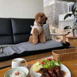 107cafe+dogs - 