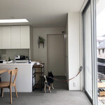107cafe+dogs - 