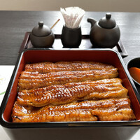 入谷鬼子母神門前のだや - かねみつ重