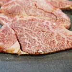 スタミナ苑 - 上ヒレ肉UP