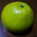 シティーライト - 文旦