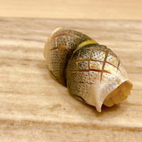 すし寿 - 