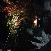 ヒカリヤ ニシ - 