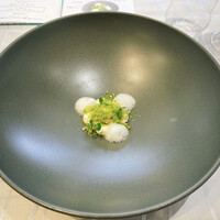 クイントカント - 