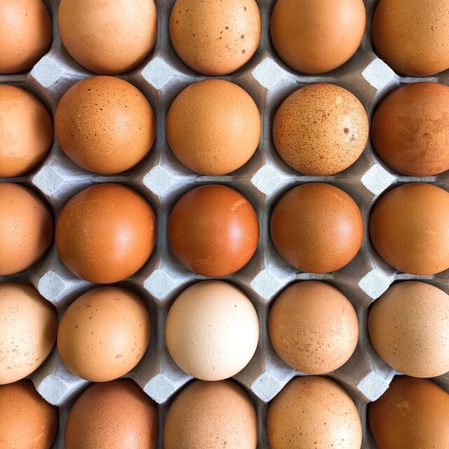 菓子工房エスポワール - 二ツ井（ケーキ）の写真