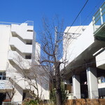 ラーメン二郎 - 早く咲く季節になるといいなぁ