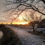 さかなどころ ともさき - 