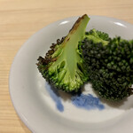 温石 - ダソメソ