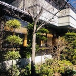 智月庵 - 庭木もステキです