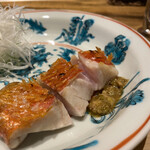 温石 - 素晴らしい鱗