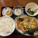 Seisei Izakaya - 豚肉ときくらげ、玉子炒め定食750円