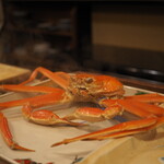 うを徳 - 隠岐　松葉ガニ