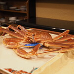 うを徳 - 隠岐　松葉ガニ