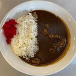 Kokudou Kare - 牛煮込みカレーのアップ