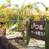 Maruha Resort Ichigo No Oka - 