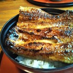 うなぎの美鶴 - うな丼アップ